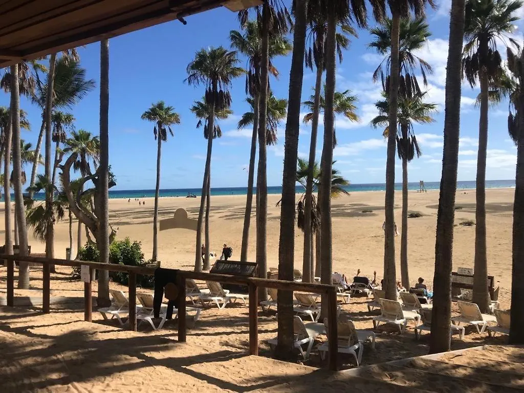 Casa Palmera Costa De Antigua